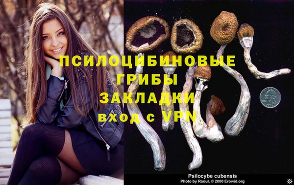 apvp Алексин