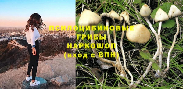 гашик Алзамай