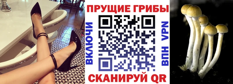 Псилоцибиновые грибы GOLDEN TEACHER  Ханты-Мансийск 
